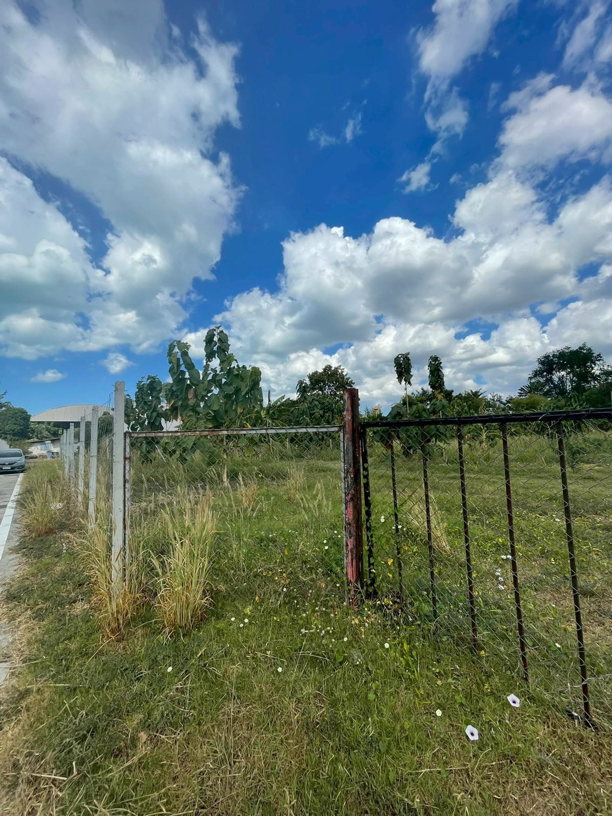 ขายที่ดินพัทยา บางแสน ชลบุรี สัตหีบ : ผืนใหญ่ เกือบ 1 ไร่ หลังวัดกระทิงลาย เงียบสงบ 🔥 ที่ดิน 379 ตร.วา กระทิงลาย / (ขาย), Land 379 sq.wah Krating Lai / (FOR SALE) BEWN039