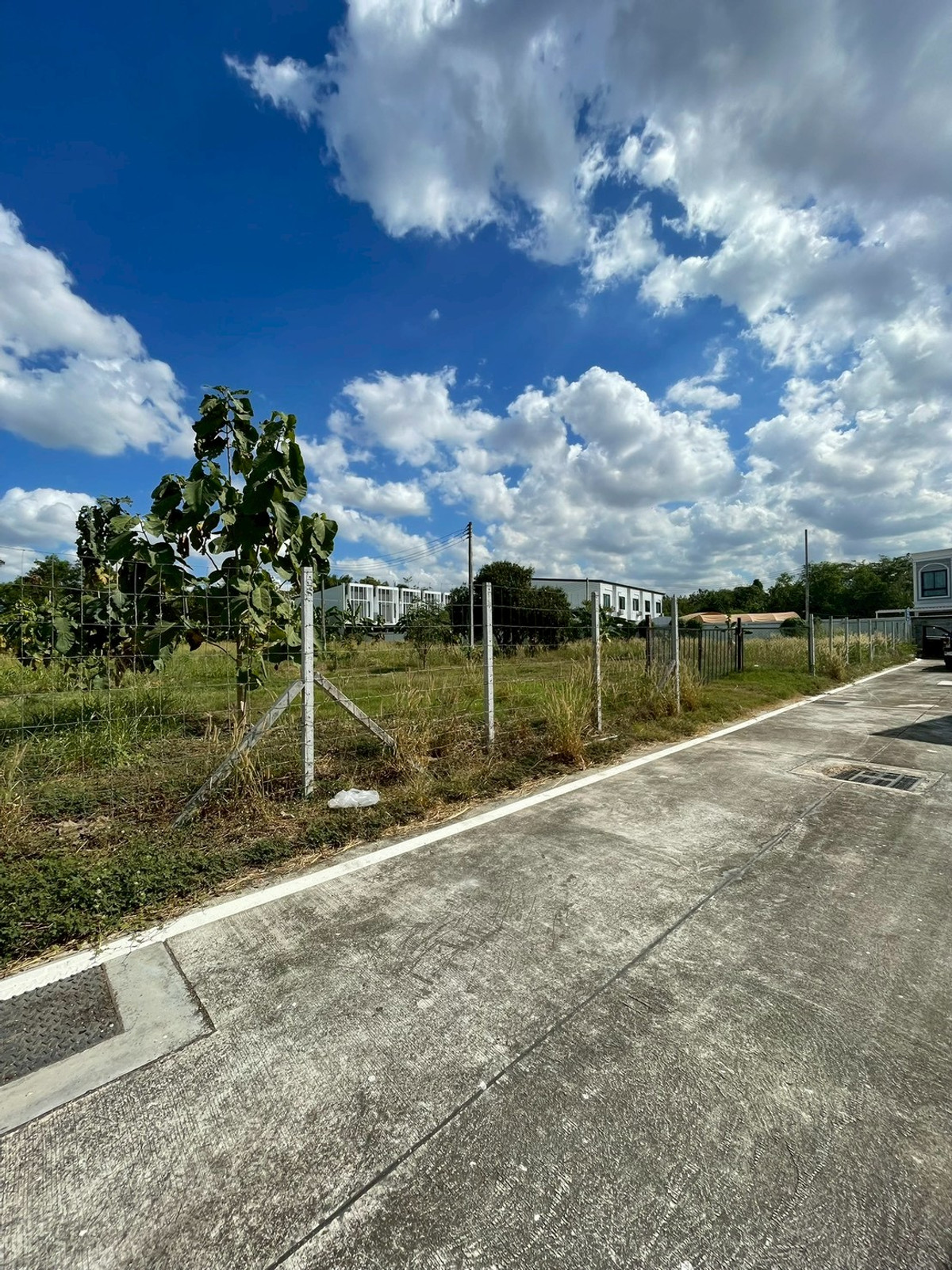 ขายที่ดินพัทยา บางแสน ชลบุรี สัตหีบ : ผืนใหญ่ เกือบ 1 ไร่ หลังวัดกระทิงลาย เงียบสงบ 🔥 ที่ดิน 379 ตร.วา กระทิงลาย / (ขาย), Land 379 sq.wah Krating Lai / (FOR SALE) BEWN039