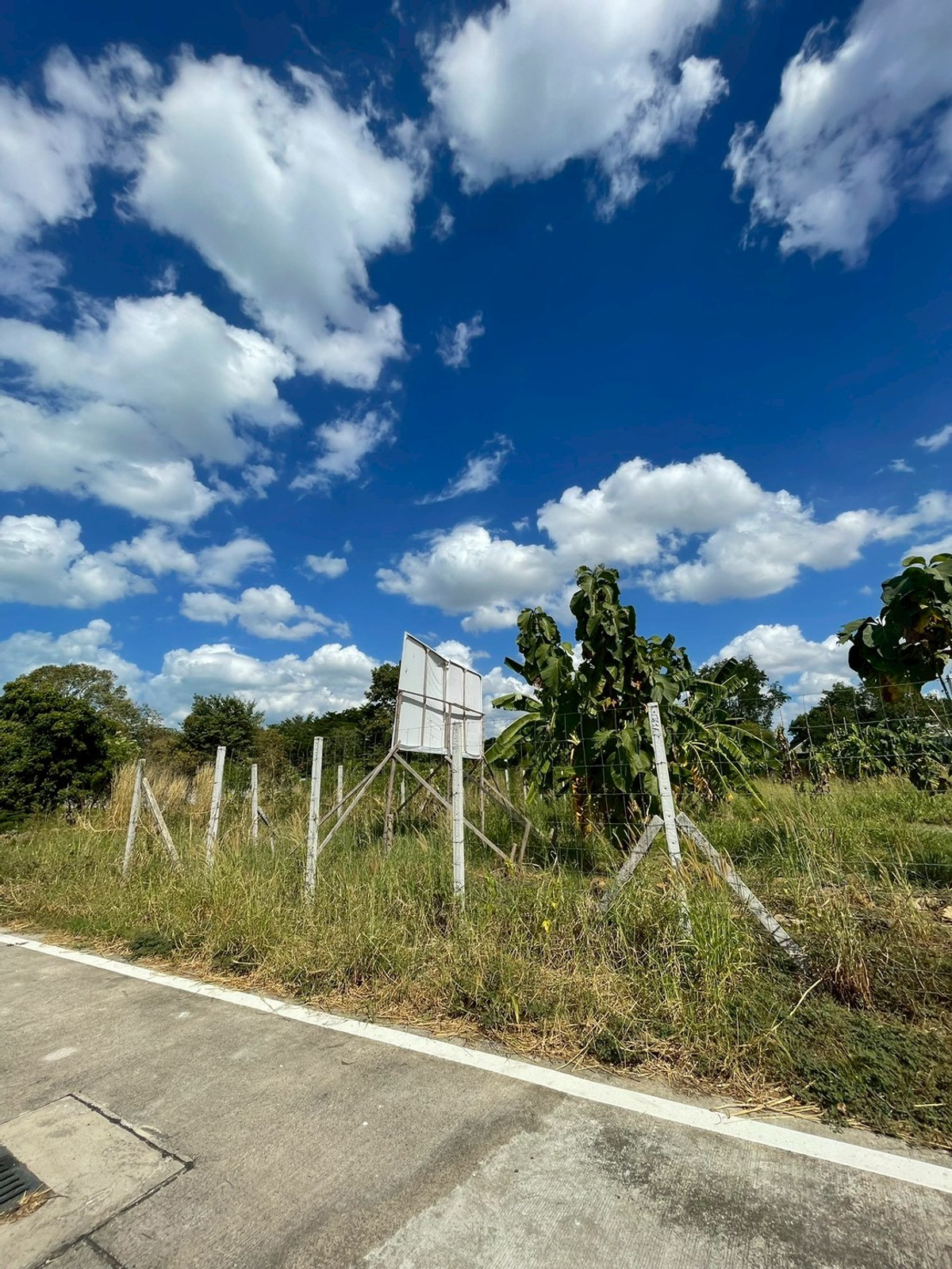 ขายที่ดินพัทยา บางแสน ชลบุรี สัตหีบ : ผืนใหญ่ เกือบ 1 ไร่ หลังวัดกระทิงลาย เงียบสงบ 🔥 ที่ดิน 379 ตร.วา กระทิงลาย / (ขาย), Land 379 sq.wah Krating Lai / (FOR SALE) BEWN039