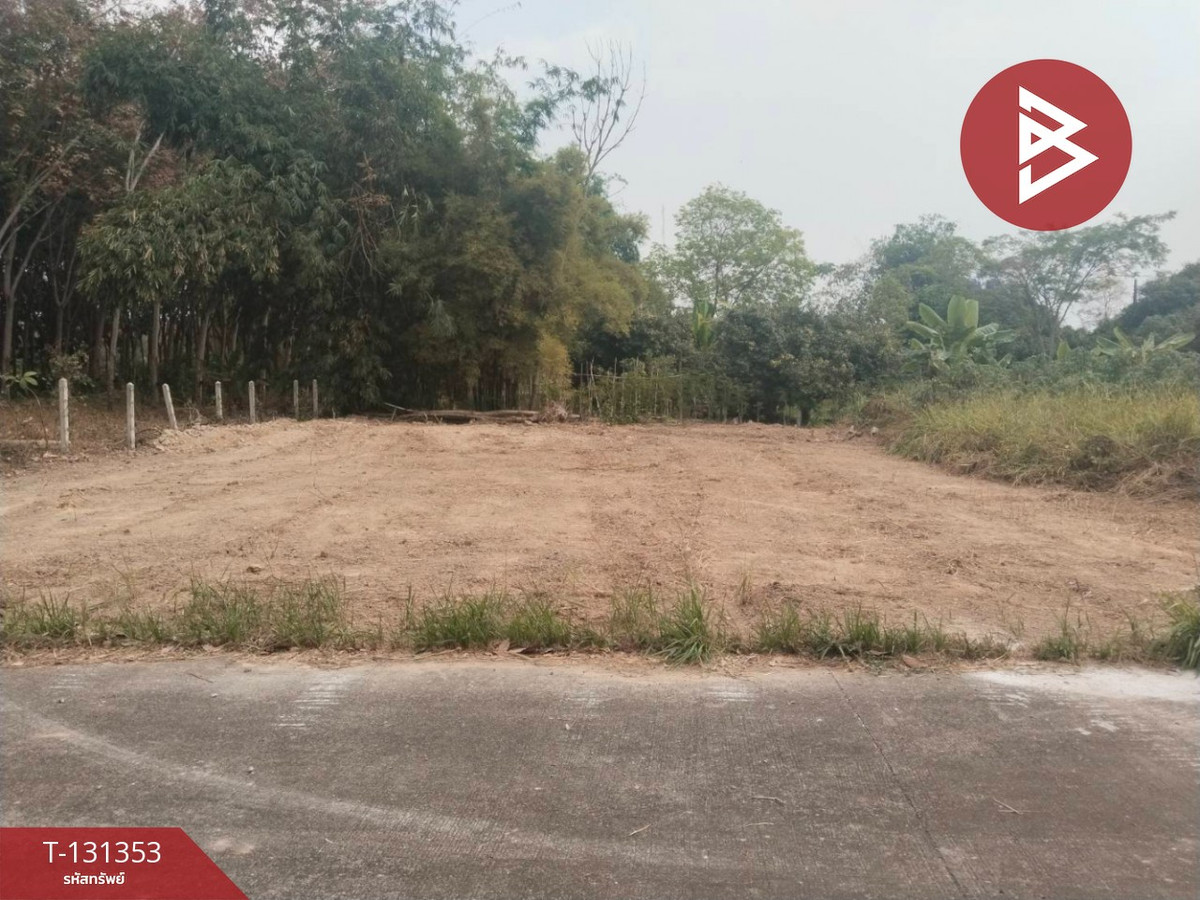 ขายที่ดินระยอง : ขายที่ดิน เนื้อที่ 88 ตร.วา ตะพง ระยอง