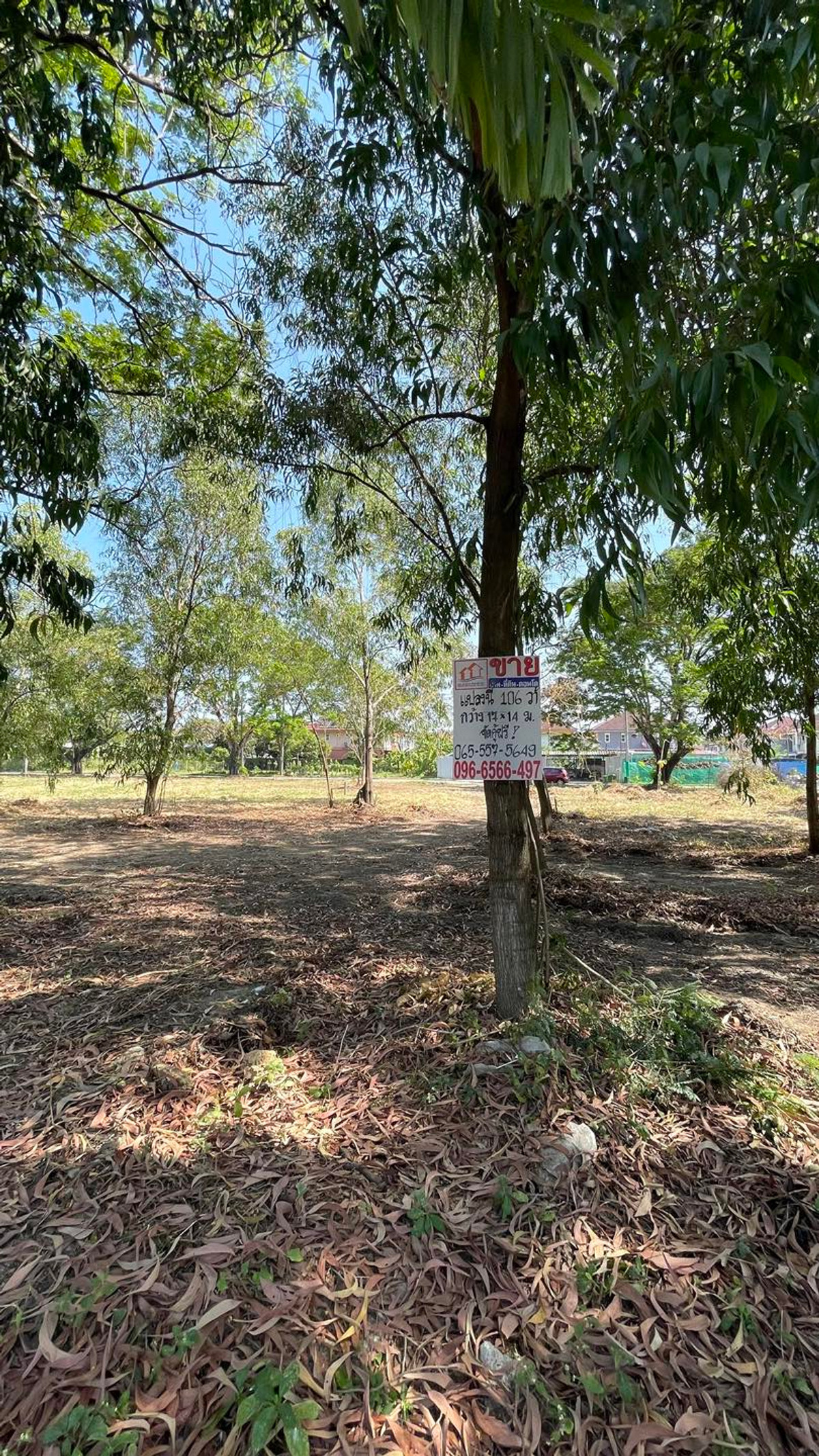 For SaleLandNawamin, Ramindra : Empty land for sale in Khlong Sam Wa District, Forest Park Project.