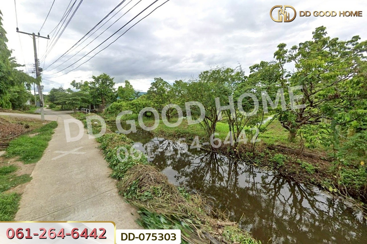 ขายที่ดินลำพูน : DD-075303 ที่ดินริมปิง 2 ไร่ 116 ตร.ว. ลำพูน ใกล้วัดพระธาตุหริภุญชัย วรมหาวิหาร