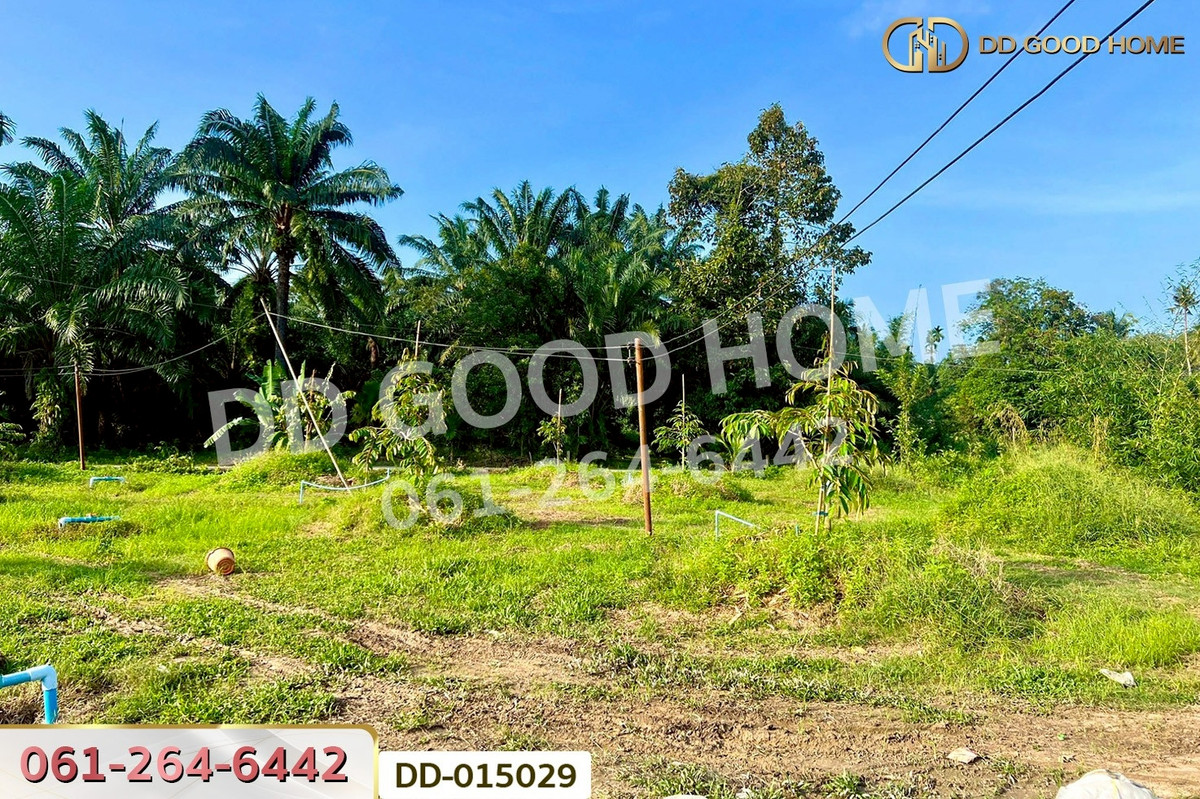 ขายที่ดินนครศรีธรรมราช : DD-015029 ที่ดินสิชล 9 ไร่ 356 ตร.ว.นครศรีธรรมราช ใกล้หาดท่าหมาก