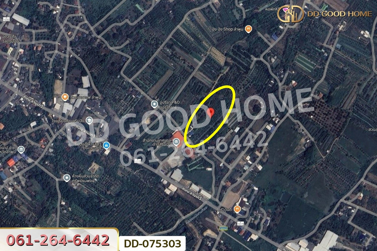 ขายที่ดินลำพูน : DD-075303 ที่ดินริมปิง 2 ไร่ 116 ตร.ว. ลำพูน ใกล้วัดพระธาตุหริภุญชัย วรมหาวิหาร