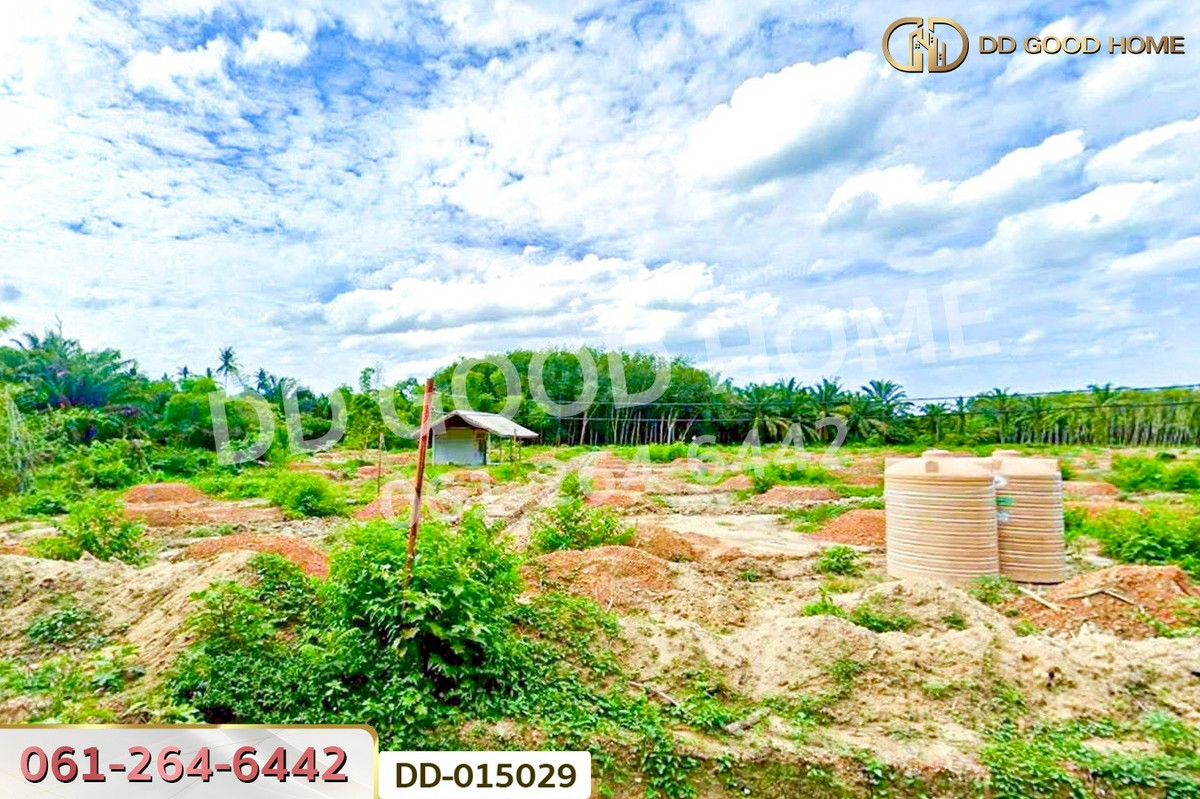 ขายที่ดินนครศรีธรรมราช : DD-015029 ที่ดินสิชล 9 ไร่ 356 ตร.ว.นครศรีธรรมราช ใกล้หาดท่าหมาก