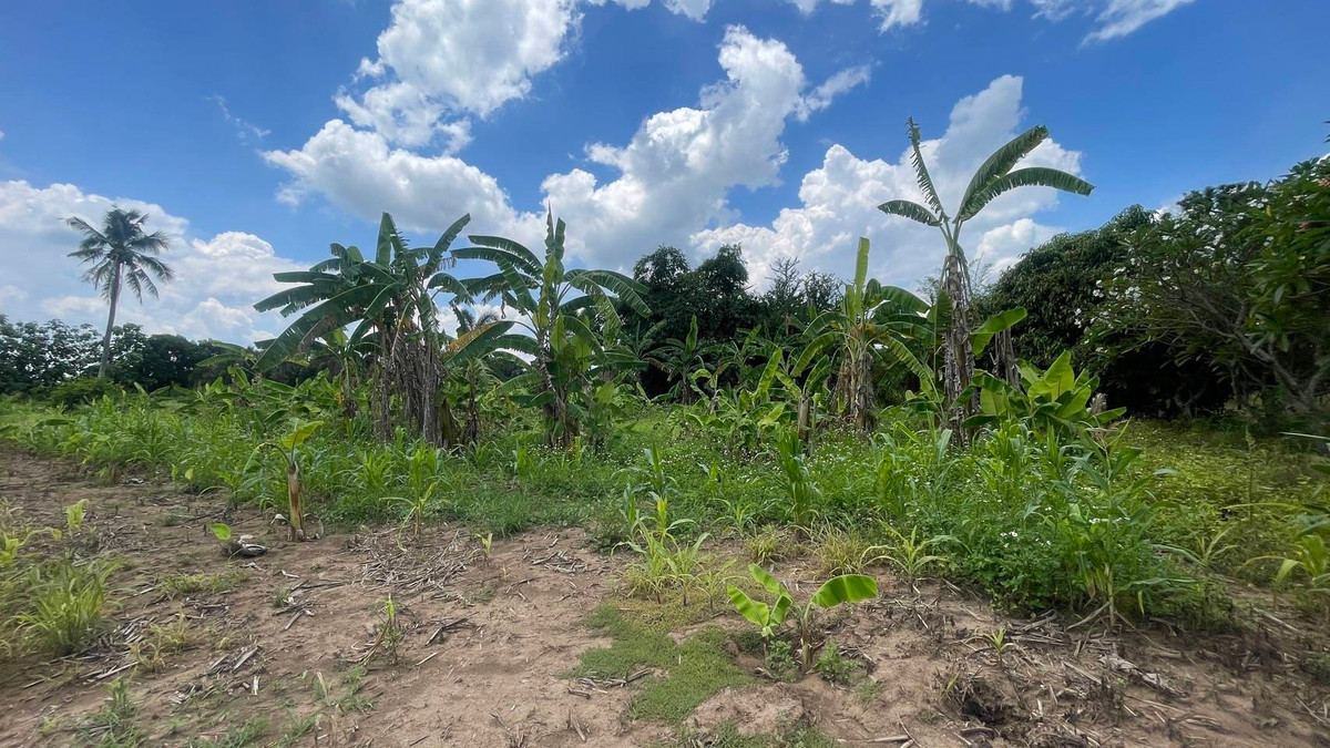 For SaleLandPak Chong KhaoYai : Land for sale, 7 rai, Pak Chong-Khao Yai (can be divided for sale), next to Thanarat Road, Nong Nam Daeng Subdistrict.