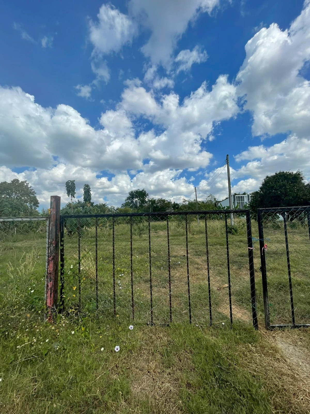 ขายที่ดินพัทยา บางแสน ชลบุรี สัตหีบ : ผืนใหญ่ เกือบ 1 ไร่ หลังวัดกระทิงลาย เงียบสงบ 🔥 ที่ดิน 379 ตร.วา กระทิงลาย / (ขาย), Land 379 sq.wah Krating Lai / (FOR SALE) BEWN039