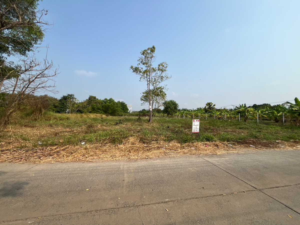 ขายที่ดินปทุมธานี รังสิต ธรรมศาสตร์ : ขายที่ดินถมแล้ว 1-2-19 ไร่ โครงการเวิลด์คลับแลนด์ ถนนคลองหลวง ต.คลองสาม อ.คลองหลวง ปทุมธานี ราคา 9,285,000 บาท