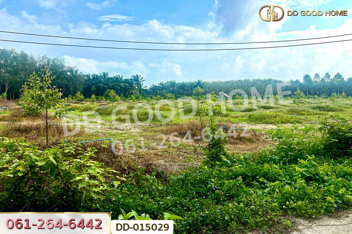 ขายที่ดินนครศรีธรรมราช : DD-015029 ที่ดินสิชล 9 ไร่ 356 ตร.ว.นครศรีธรรมราช ใกล้หาดท่าหมาก