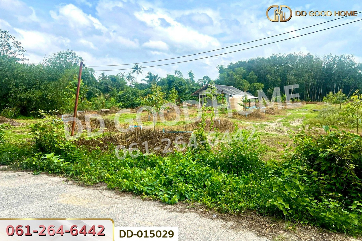 ขายที่ดินนครศรีธรรมราช : DD-015029 ที่ดินสิชล 9 ไร่ 356 ตร.ว.นครศรีธรรมราช ใกล้หาดท่าหมาก