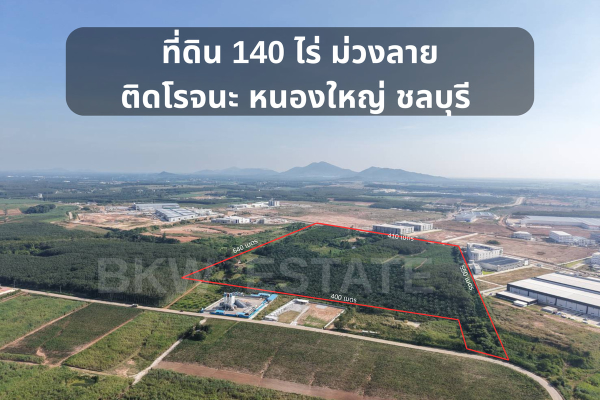 ขายที่ดินศรีราชา แหลมฉบัง บ้านบึง : ที่ดินสีม่วงลาย โรจนะ หนองใหญ่ 140 ไร่