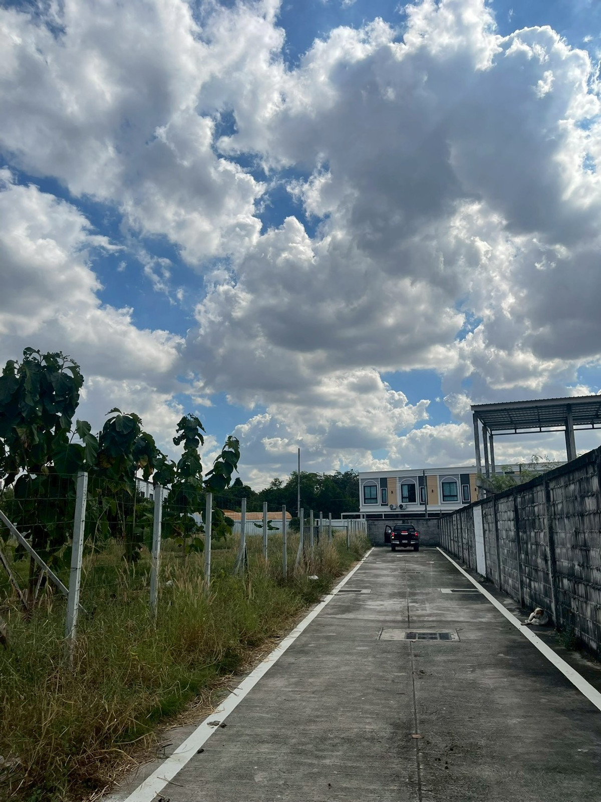 ขายที่ดินพัทยา บางแสน ชลบุรี สัตหีบ : ผืนใหญ่ เกือบ 1 ไร่ หลังวัดกระทิงลาย เงียบสงบ 🔥 ที่ดิน 379 ตร.วา กระทิงลาย / (ขาย), Land 379 sq.wah Krating Lai / (FOR SALE) BEWN039