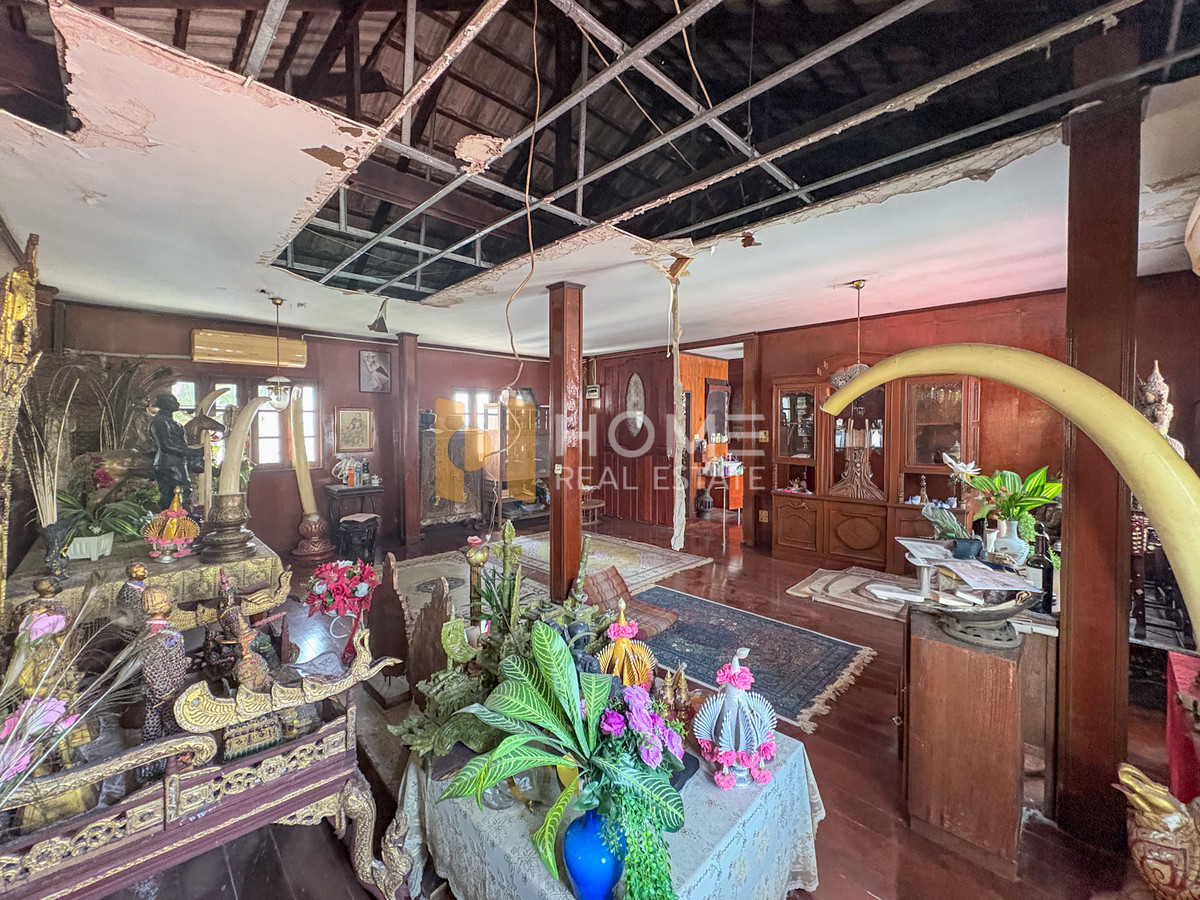 ขายที่ดินสะพานควาย จตุจักร : ผืนสวยใจกลางเมือง ✨ ที่ดิน ซอยอินทามระ 29 แยก 1 / (ขาย), Land Soi Inthamara 29 Yeak 1 / (FOR SALE) TPM314