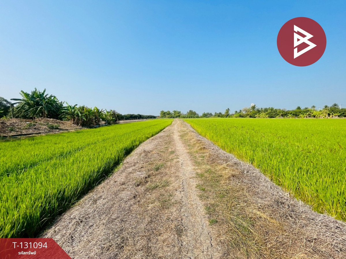 ขายที่ดินนครปฐม : ขายที่ดิน เนื้อที่ 12 ไร่ 77 ตร.วา บางเลน นครปฐม