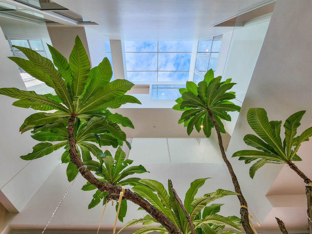 ขายบ้านพระราม 9 เพชรบุรีตัดใหม่ RCA : 🔥𝑳𝒂𝒔𝒕 𝟐 𝑼𝒏𝒊𝒕 ‼️  บ้านตัวอย่างตกแต่งพร้อมอยู่กลางเมือง ลดจาก 80 กว่าล้าน 🏷️ เหลือเพียง 58.9 ล้านบาท 🎉