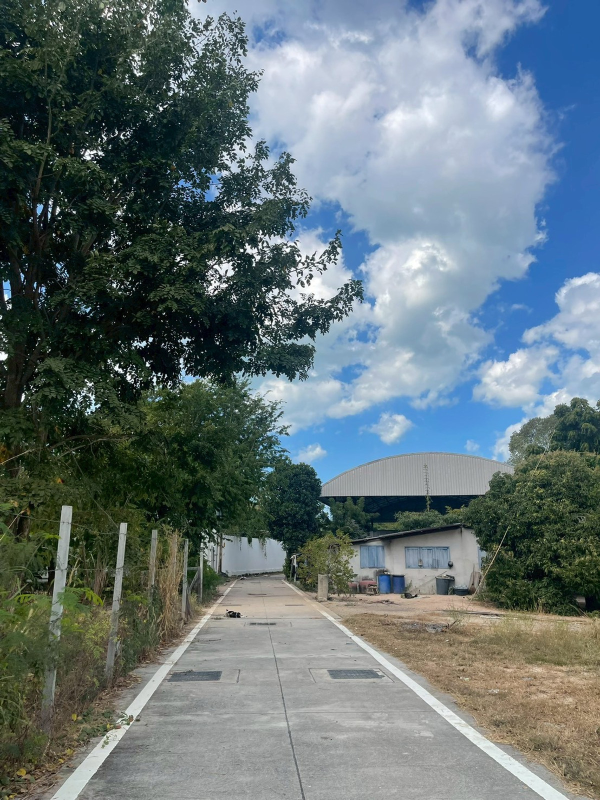 ขายที่ดินพัทยา บางแสน ชลบุรี สัตหีบ : ผืนใหญ่ เกือบ 1 ไร่ หลังวัดกระทิงลาย เงียบสงบ 🔥 ที่ดิน 379 ตร.วา กระทิงลาย / (ขาย), Land 379 sq.wah Krating Lai / (FOR SALE) BEWN039