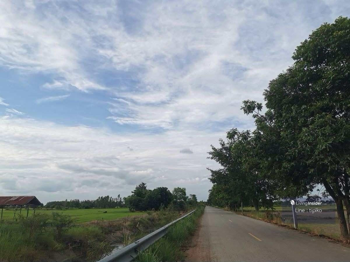 ขายที่ดินสุโขทัย : ขายที่ดิน ต.บ้านกล้วยจ.สุโขทัย ติดถนน ห่างบิ๊กซี10นาที