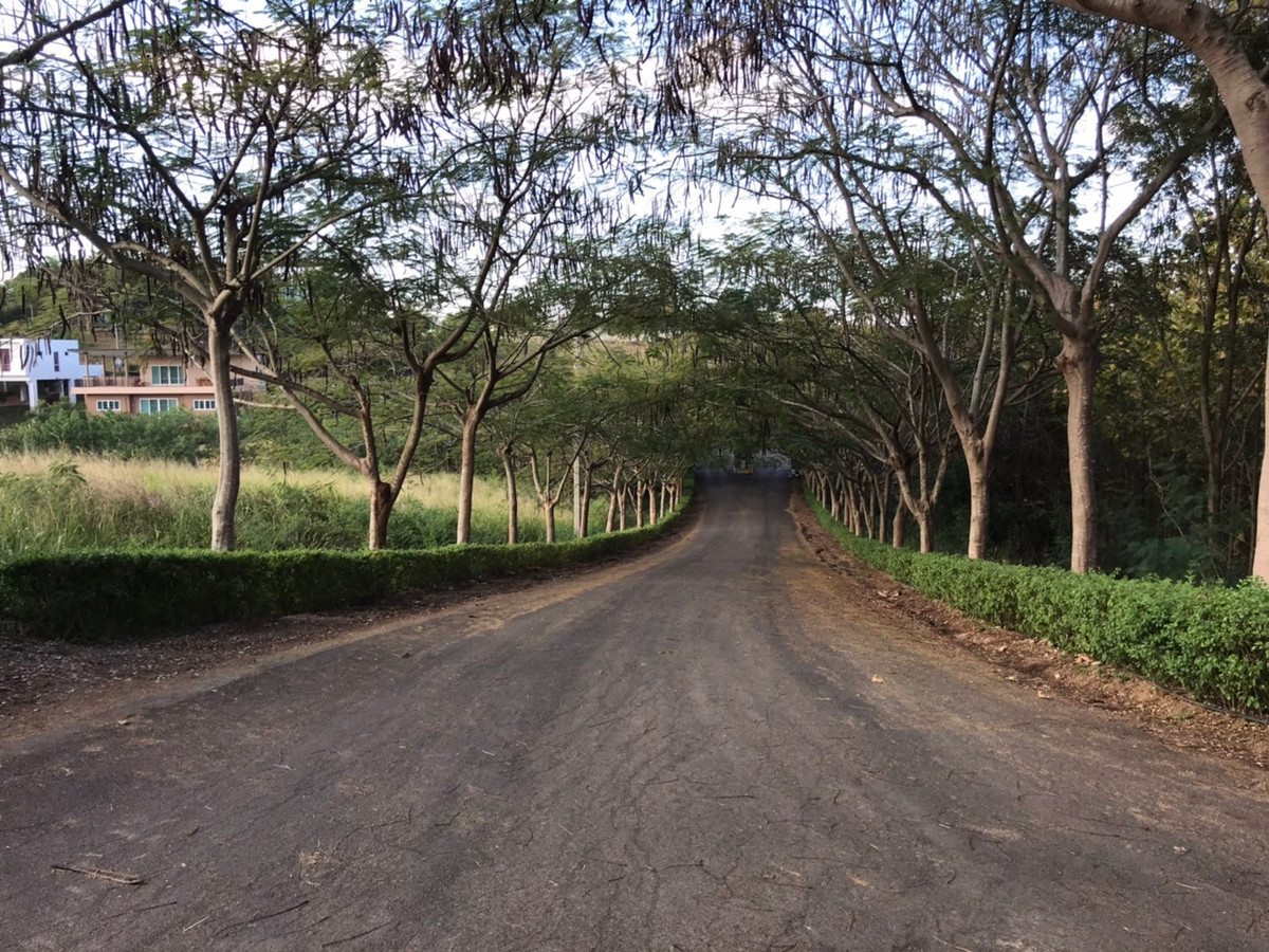 ขายที่ดินปากช่อง เขาใหญ่ : 🌿 Rare Item ขายที่ดินเขาใหญ่ ในโครงการ Khao Yai Hideaway วิวเขาซ้อนเขา เหมาะสร้าง Pool Villa เนื้อที่ 1 ไร่ 76 ตร.วา