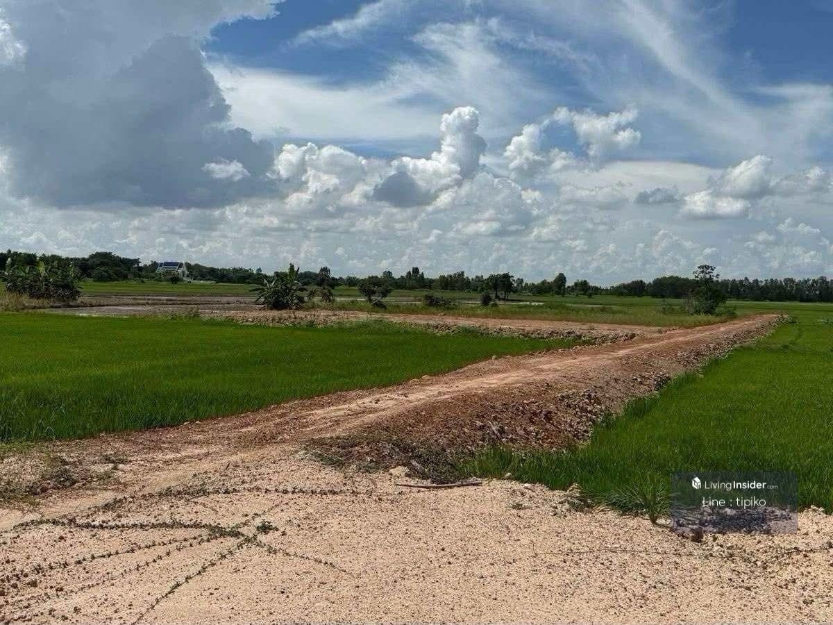 ขายที่ดินสุโขทัย : ขายที่ดิน ต.บ้านกล้วยจ.สุโขทัย ติดถนน ห่างบิ๊กซี10นาที