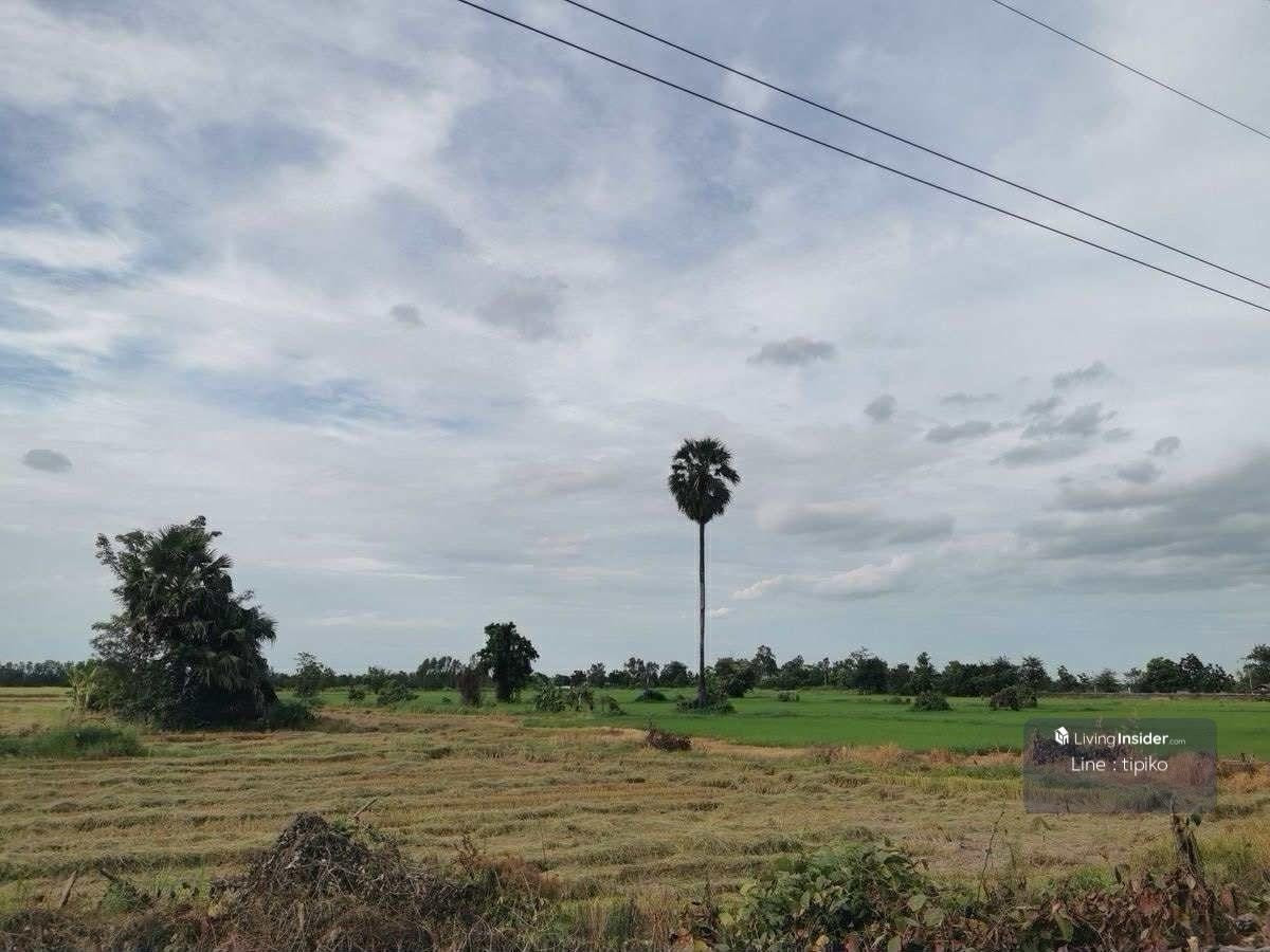 ขายที่ดินสุโขทัย : ขายที่ดิน ต.บ้านกล้วยจ.สุโขทัย ติดถนน ห่างบิ๊กซี10นาที