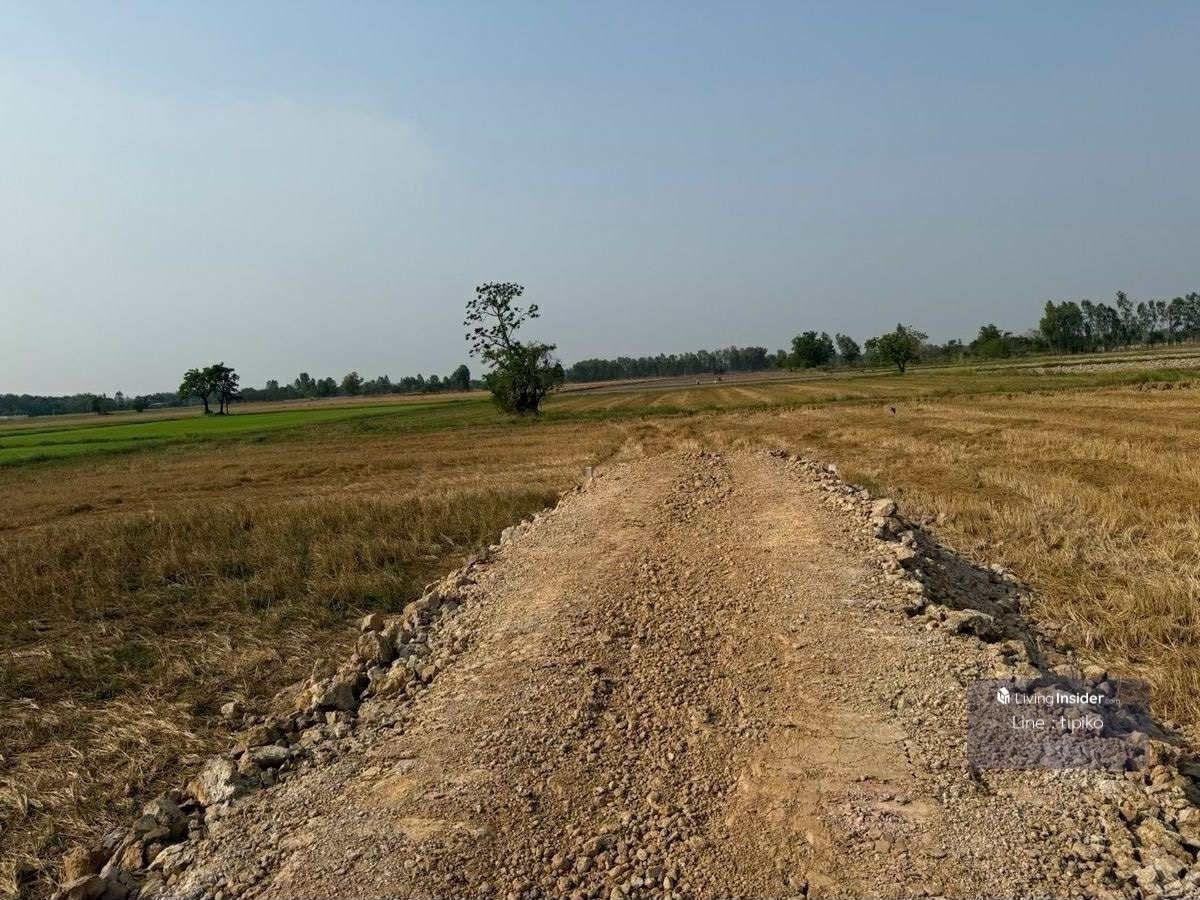 ขายที่ดินสุโขทัย : ขายที่ดิน ต.บ้านกล้วยจ.สุโขทัย ติดถนน ห่างบิ๊กซี10นาที