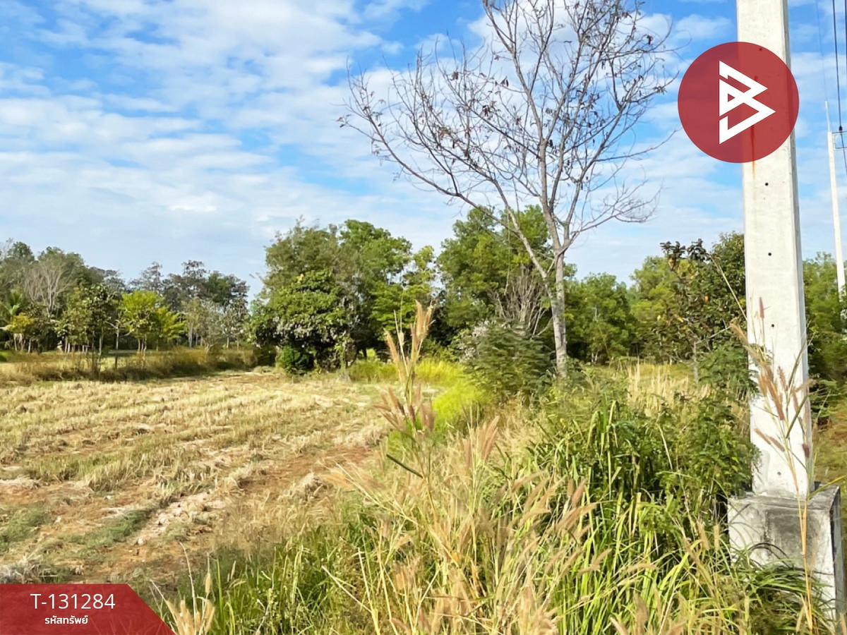 For SaleLandSurin : Land for sale, area 3 rai 75 sq m, Tha Sawang, Surin.