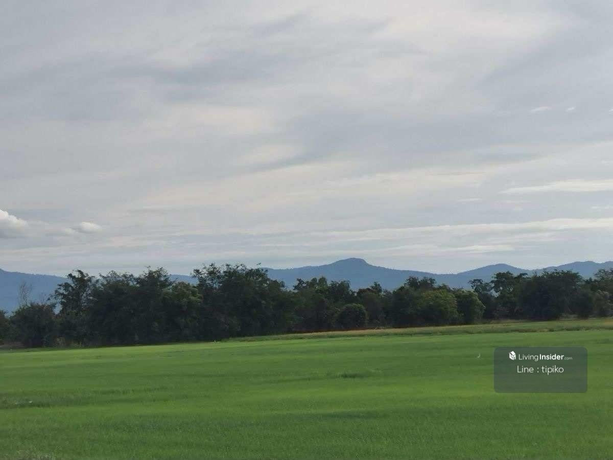 ขายที่ดินสุโขทัย : ขายที่ดิน ต.บ้านกล้วยจ.สุโขทัย ติดถนน ห่างบิ๊กซี10นาที