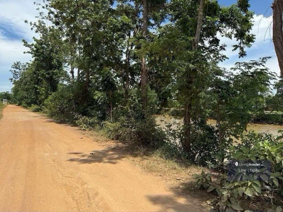 ขายที่ดินสุโขทัย : ขายที่ดิน ต.บ้านกล้วยจ.สุโขทัย ติดถนน ห่างบิ๊กซี10นาที