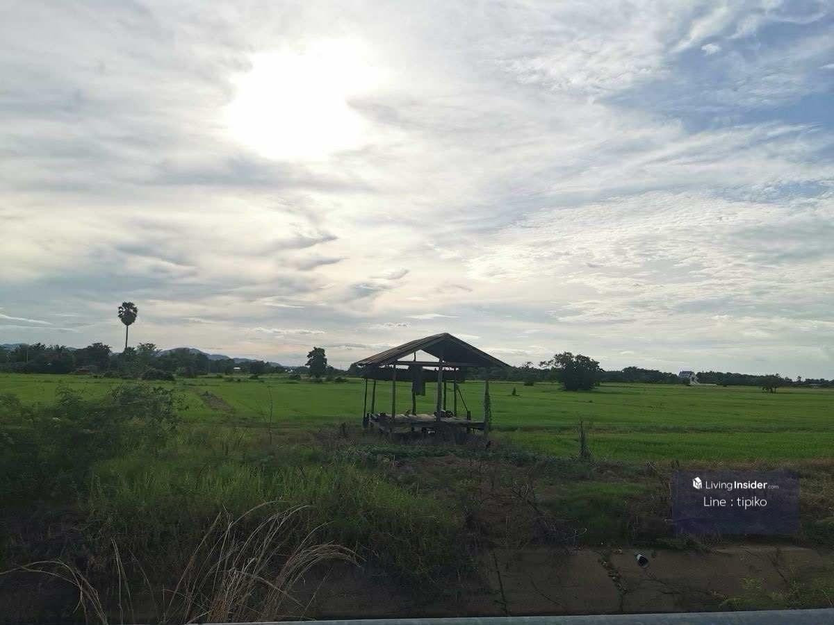 ขายที่ดินสุโขทัย : ขายที่ดิน ต.บ้านกล้วยจ.สุโขทัย ติดถนน ห่างบิ๊กซี10นาที