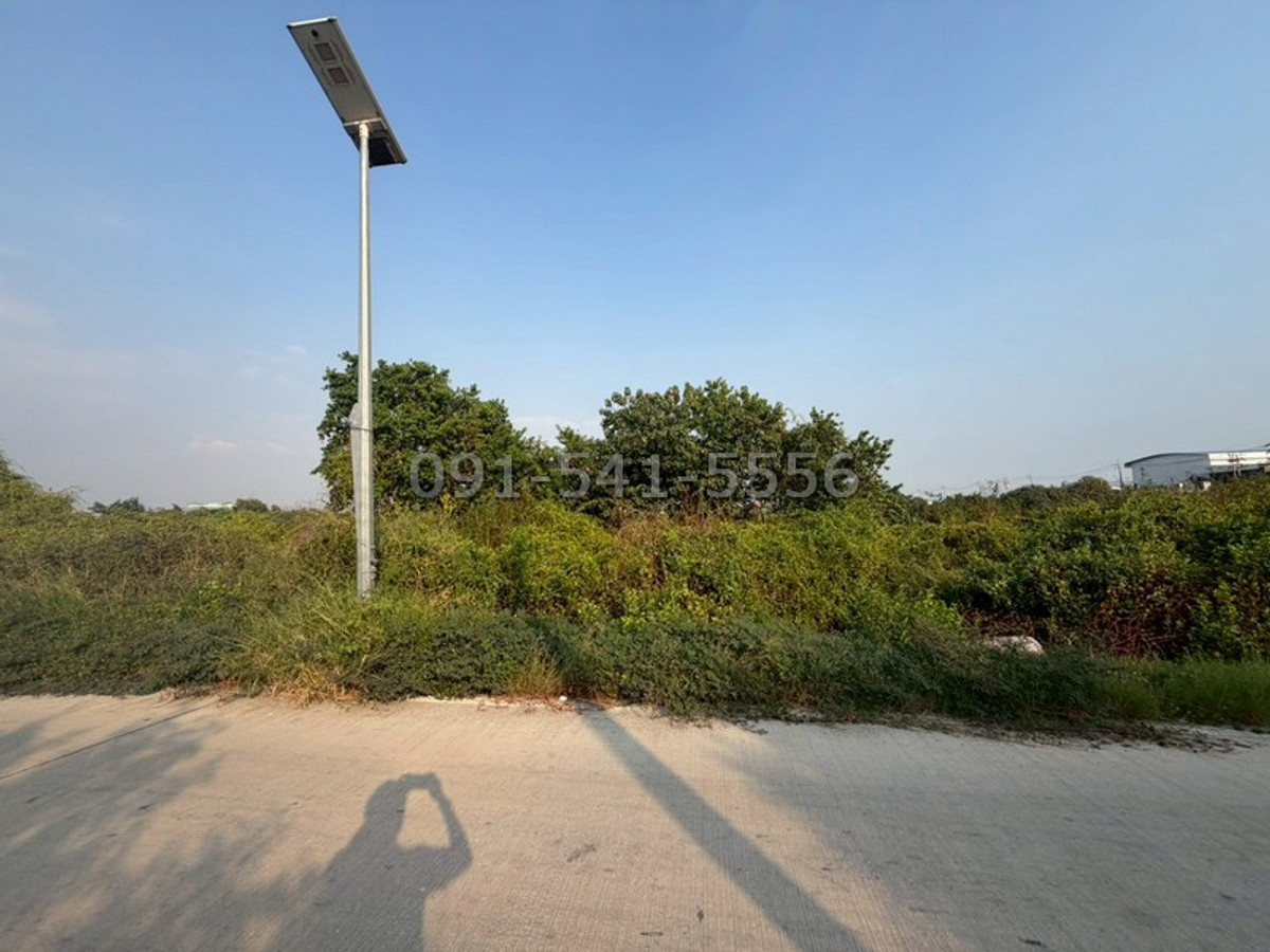 ขายที่ดินบางนา แบริ่ง ลาซาล : ขายที่ดิน 2 แปลงติดกัน 10 ไร่ ริมถนน ซอยประชาอุทิศ 90 สมุทรปราการ ที่ดินผืนใหญ่ แปลงสวย ทำเลศักยภาพ