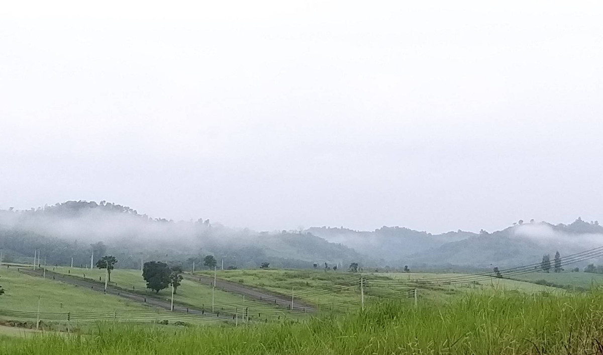 For SaleHotel&Apartment BusinessPhetchabun : ★House for sale with land 1 rai 35 sq m with furniture.  Have a valid Red Garuda title deed, Blizz by Khao Kho Highland Camp Son project.