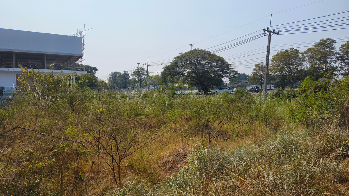 ขายที่ดินอ่างทอง : ขายด่วน ที่ดินทำเลทอง 3 ไร่เศษ ติดถนนสายเอเชีย ใกล้เมืองอ่างทอง