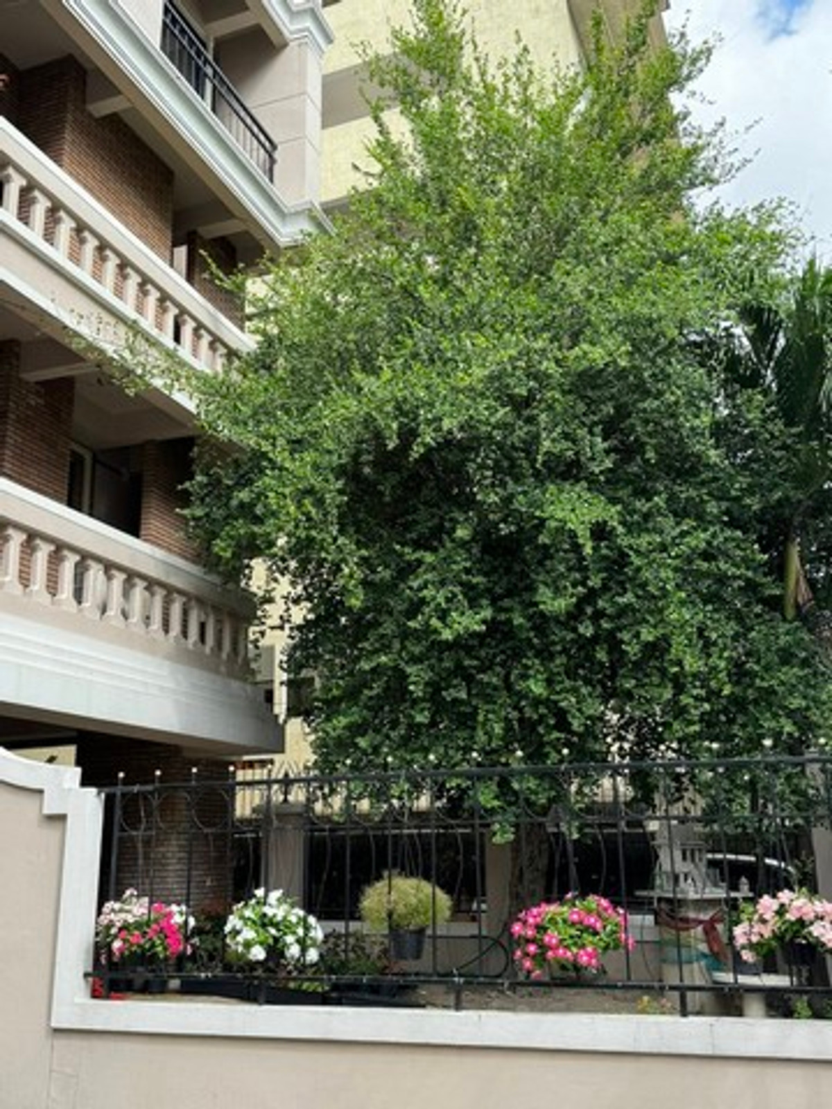 ให้เช่าโฮมออฟฟิศนานา : HR3198PREMIUM RENTAL] Modern Home Office Sukhumvit 4 – Nana Prime Location  Newly Renovated  Steps from BTS and Benjakitti Park