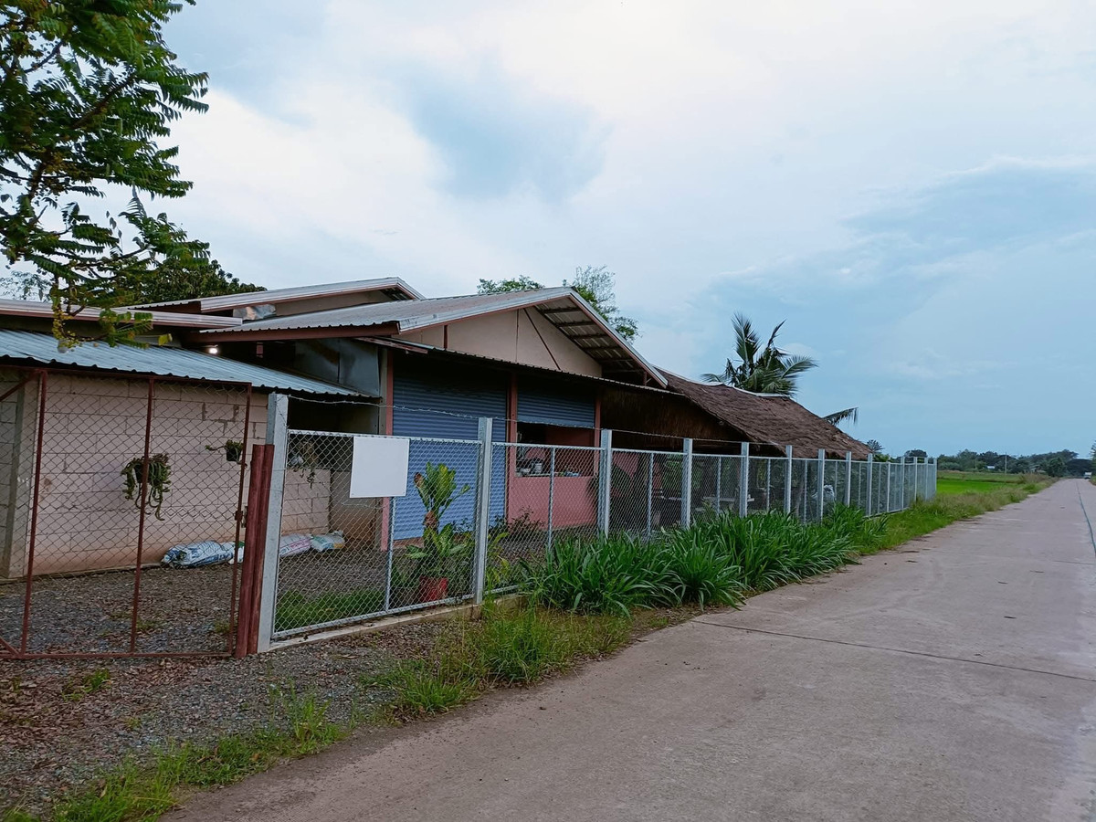 For SaleLandPhetchabun : Garden house ready to move in, over 9 rai, Sri Thep, Phetchabun, next to a concrete road.