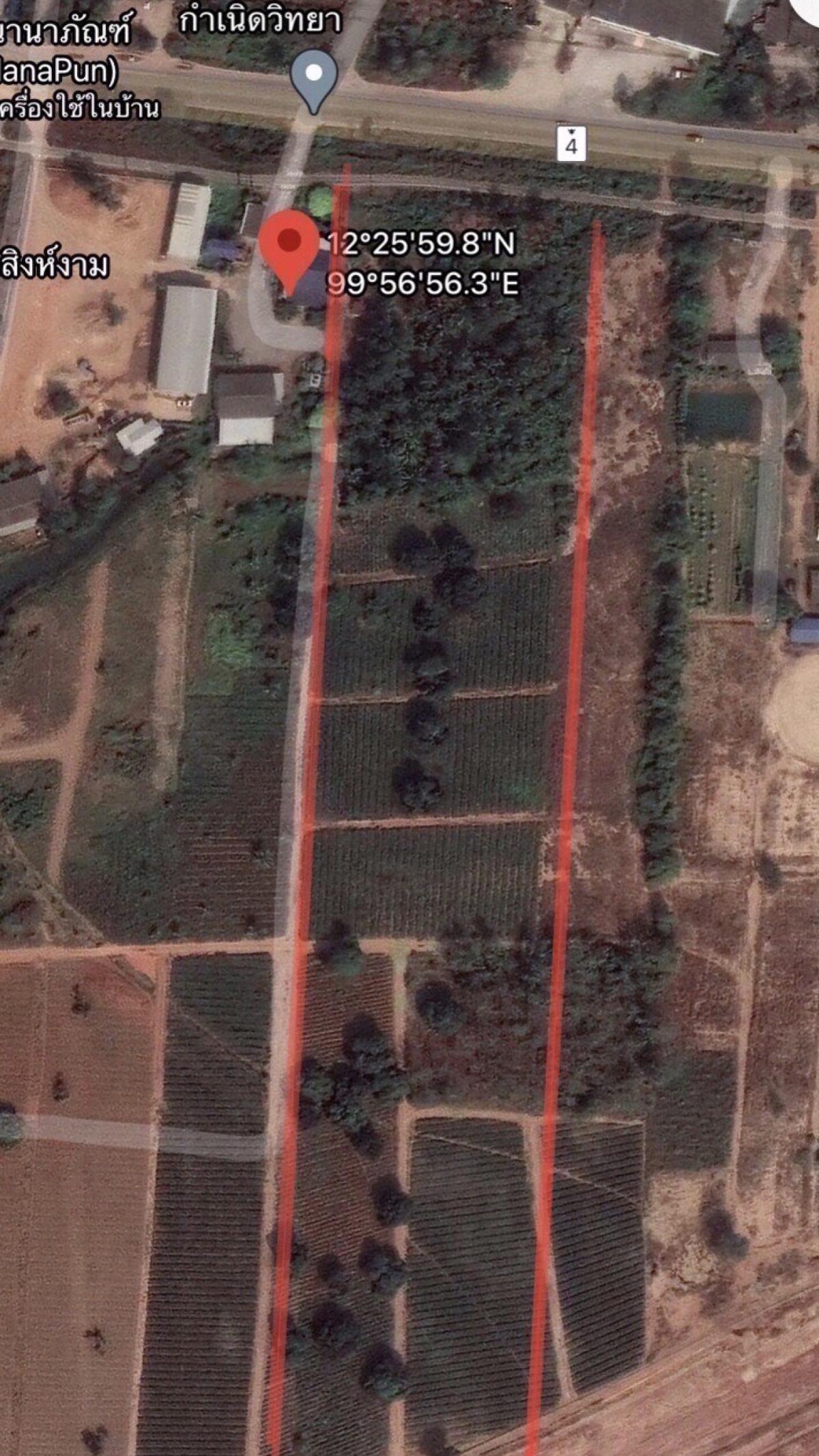 ขายที่ดินหัวหิน ประจวบคีรีขันธ์ : ขายที่ดินติดถนนมอเตอร์เวย์ เพชรเกษมทางไปหัวหิน (ถนนหลักหมายเลข4) วังก์พง ปราณบุรี ประจวบคีรีขันธ์ CX-143570