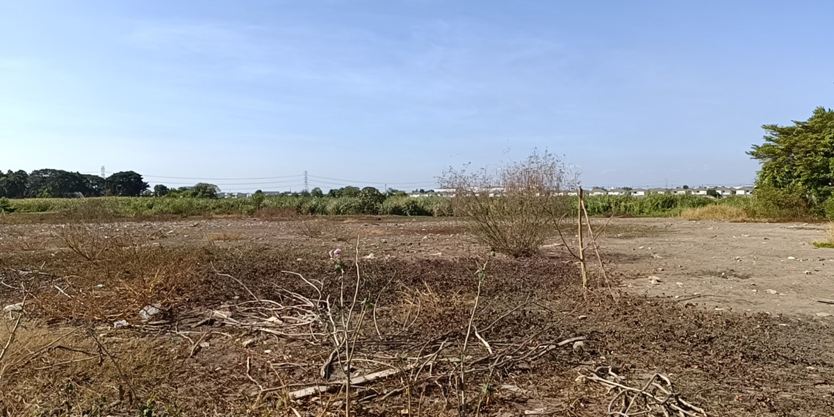 For SaleLandLadkrabang, Suwannaphum Airport : Land for sale, 4 rai (2 plots), Phatthana Chonburi Road 3, Intersection 15, Lat Krabang.