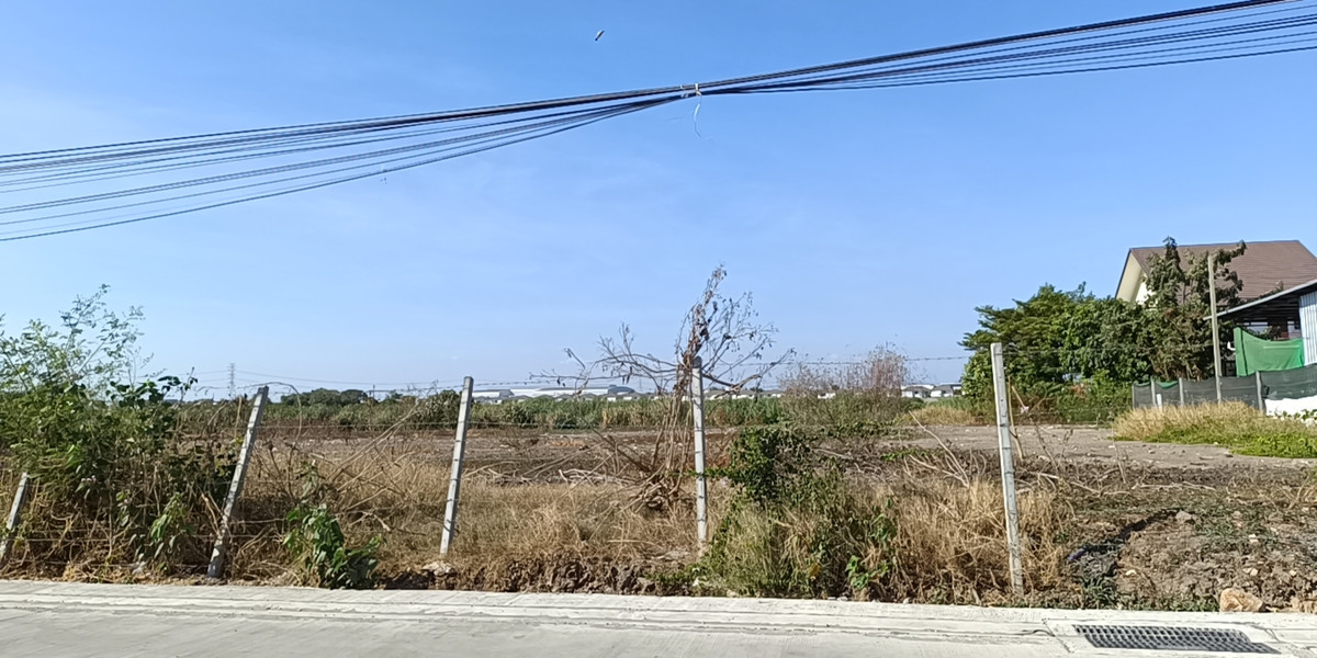 ขายที่ดินลาดกระบัง สุวรรณภูมิ : ขาย ที่ดิน 4 ไร่ (2 แปลง) ถนนพัฒนาชนบท3 แยก 15, ลาดกระบัง