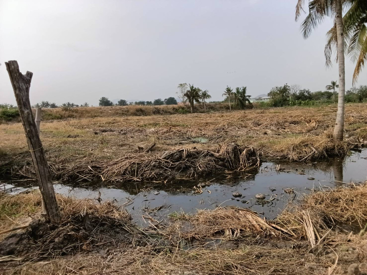 ขายที่ดินชะอำ เพชรบุรี : ✨ ขายที่ดิน ใกล้หาดชะอำ ถมแล้ว 3 ไร่ 2 งาน 10 ตารางวา ราคาถูก 1.29 ล้านบาทต่อไร่🏡💖