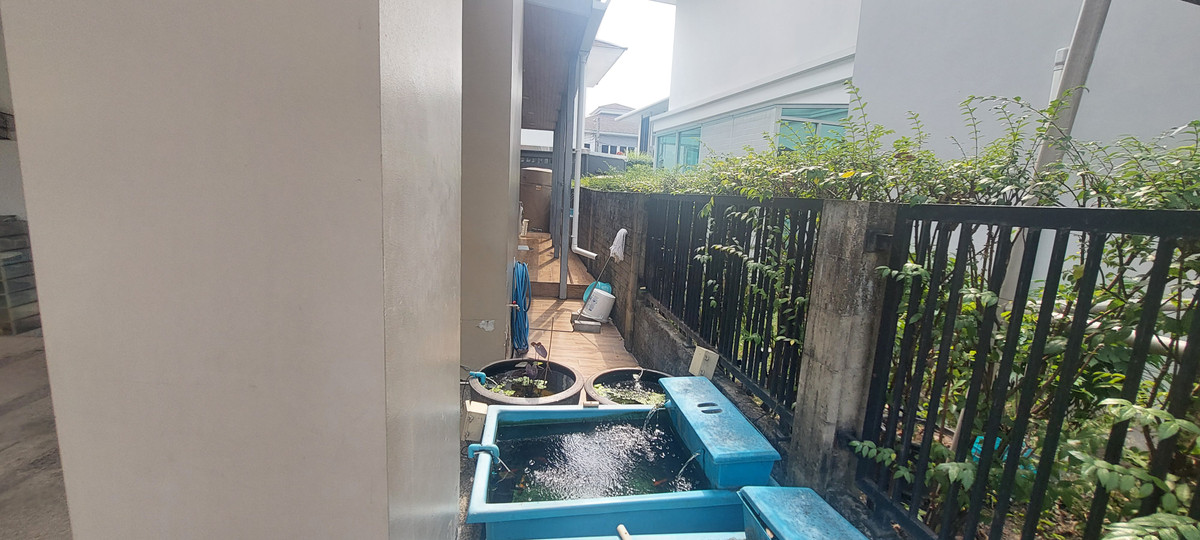 For SaleHouseThaphra, Talat Phlu, Wutthakat : Baan Prinya Sathorn - Ratchaphruek, Ratchaphruek Road, near bts