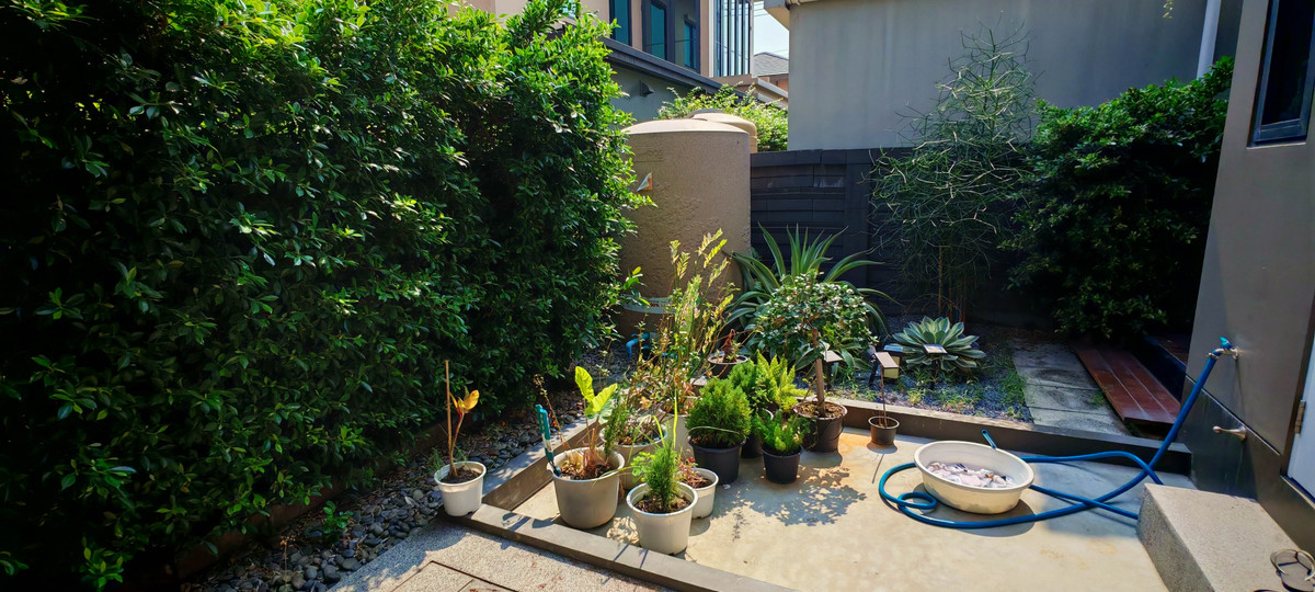 ขายบ้านพระราม 2 บางขุนเทียน : ขายบ้านเดี่ยว บุราสิริ พระราม 2 ทำเลดี บรรยากาศรีสอร์ท ใกล้ทางด่วน