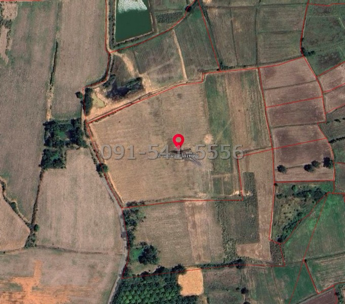 For SaleLandPak Chong KhaoYai : Land for sale, 25-3-93.3 rai, Sung Noen, Nakhon Ratchasima, next to an alley road, polygonal plot, quiet location, surrounded by agricultural land.