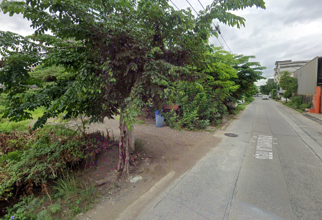 For SaleLandSamut Prakan,Samrong : Land for sale in Soi Than Phuying, Mueang Samut Prakan, 300 sq.wa. Only 350 meters from Theparak Road. KK