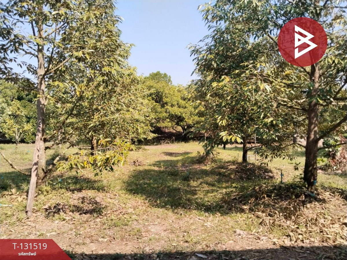 ขายที่ดินจันทบุรี : ขายที่ดิน เนื้อที่ 2 ไร่ 2 งาน 75 ตร.วา ท่าใหม่ จันทบุรี