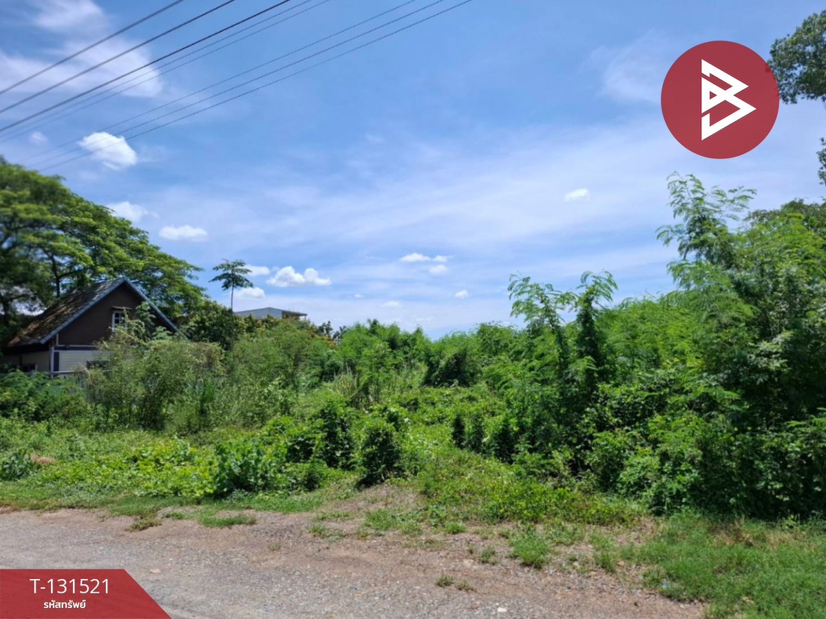 ขายที่ดินนนทบุรี บางใหญ่ บางบัวทอง : ขายที่ดิน เนื้อที่ 1 งาน 3 ตร.วา ไทรน้อย นนทบุรี