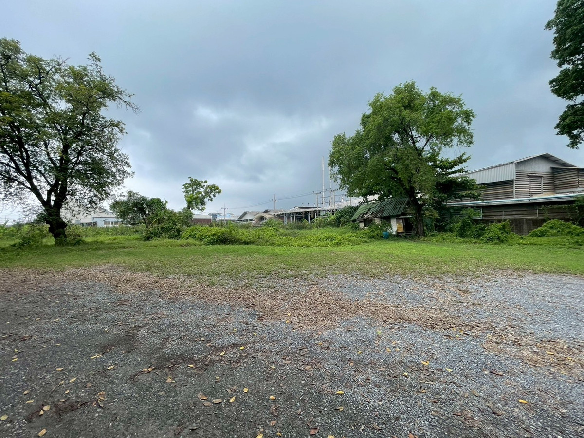 ขายที่ดินพุทธมณฑล ศาลายา : ที่ดินเปล่าริมแม่น้ำท่าจีน 16-0-68 ไร่   หน้ากว้างติดแม่น้ำ 135 เมตร  พุทธมณฑลสาย 7  ใกล้ รร นายร้อยสามพราน