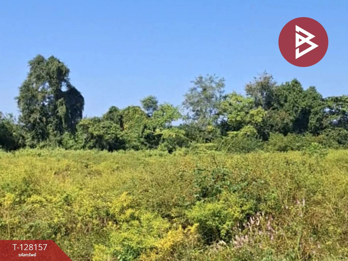 ขายที่ดินเชียงราย : ขายที่ดินพร้อมสิ่งปลูกสร้าง เนื้อที่ 67 ไร่ 1 งาน 51 ตารางวา ป่าอ้อดอนชัย เชียงราย