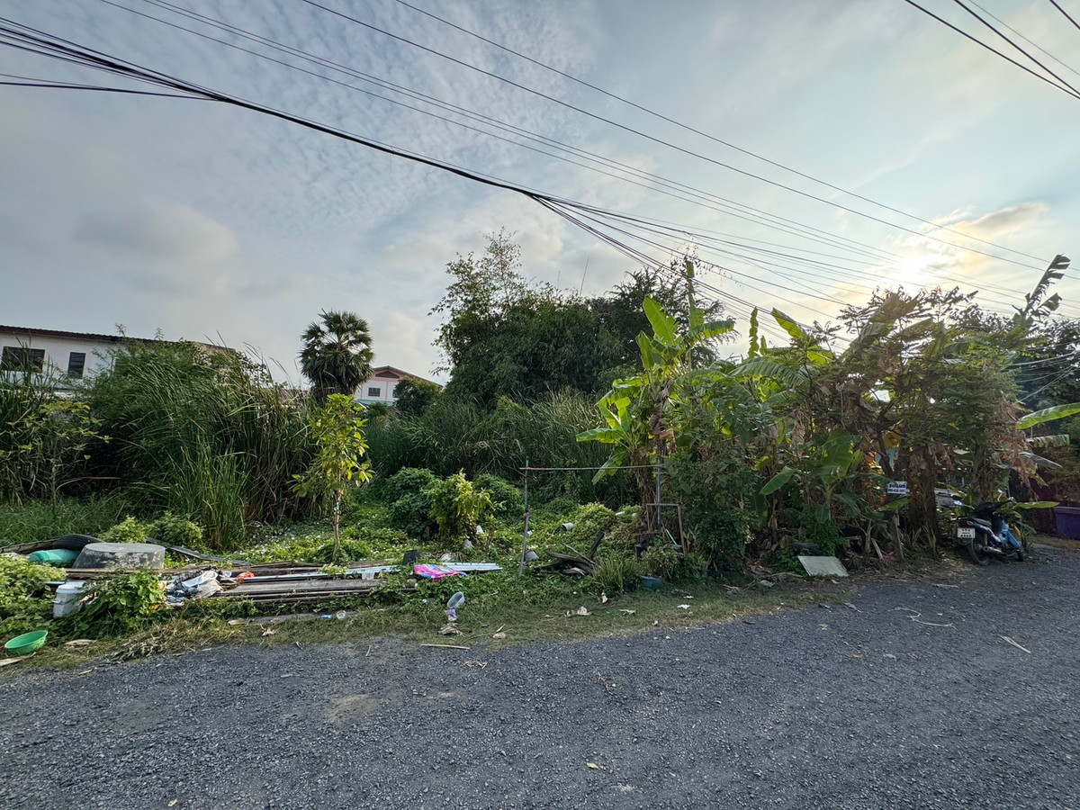 For SaleLandPathum Thani,Rangsit, Thammasat : sell!!! Land 64 square wah, Phunsri Village, Bang Khayang Subdistrict, Mueang District, Pathum Thani Province.