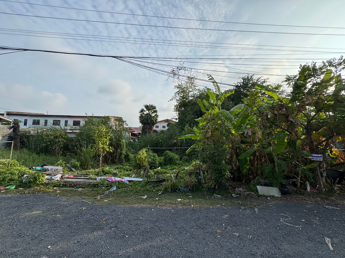 ขายที่ดินปทุมธานี รังสิต ธรรมศาสตร์ : ขาย!!! ที่ดินปทุมธานี 64 ตารางวา หมู่บ้านพูลศรี ตำบลบางขะแยง อําเภอเมือง จังหวัดปทุมธานี