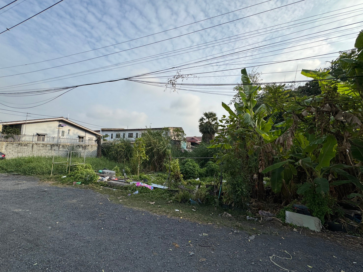 ขายที่ดินปทุมธานี รังสิต ธรรมศาสตร์ : ขาย!!! ที่ดินปทุมธานี 64 ตารางวา หมู่บ้านพูลศรี ตำบลบางขะแยง อําเภอเมือง จังหวัดปทุมธานี