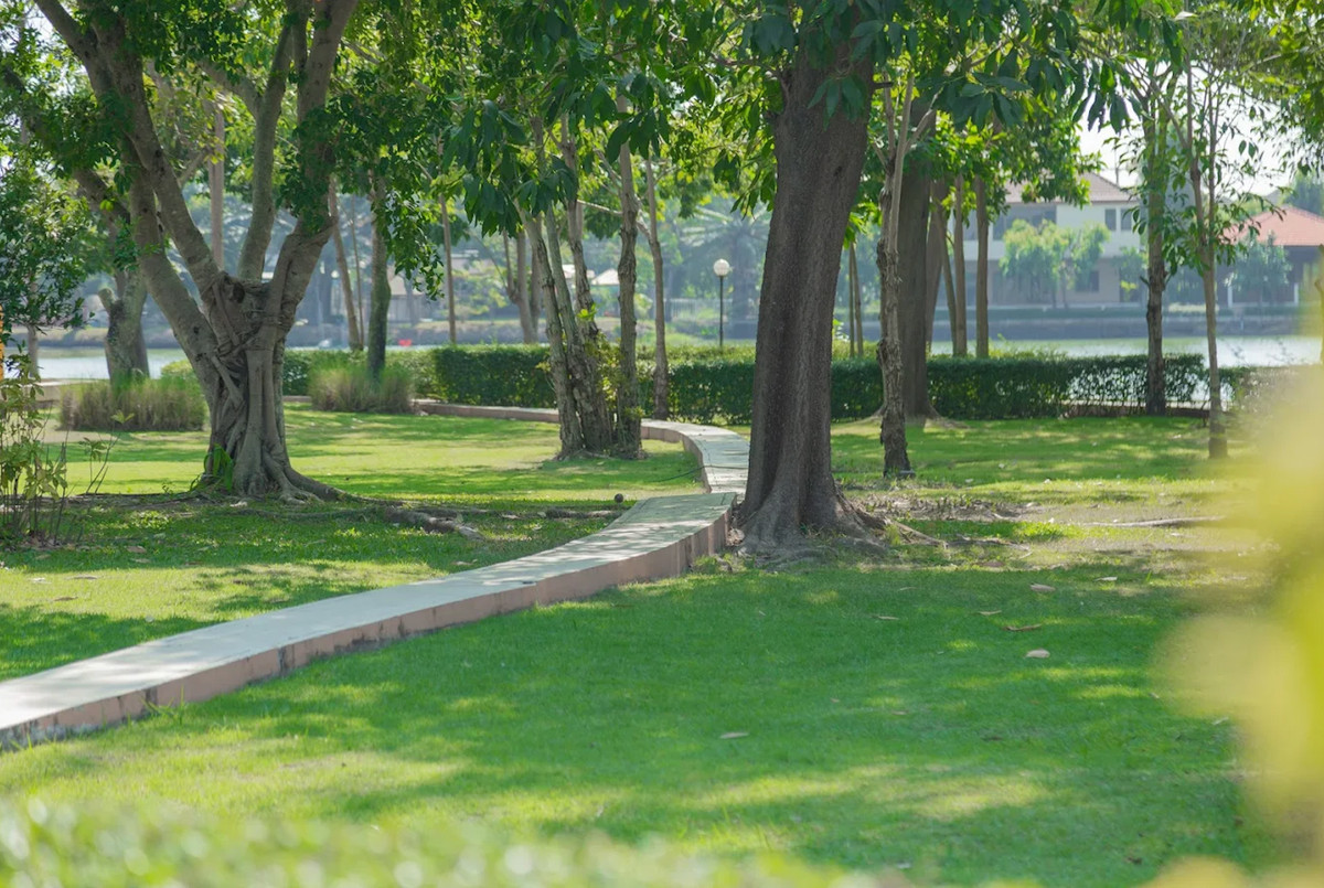 For SaleHousePathum Thani,Rangsit, Thammasat : Sammakorn Khlong 7, luxury detached house, 3 bedrooms, 3 bathrooms, convenient transportation.